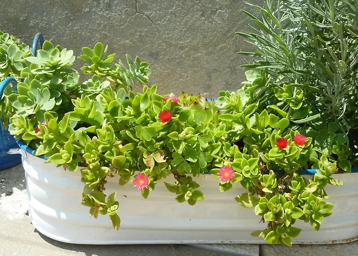 Timy Apartamento Dubrovnik