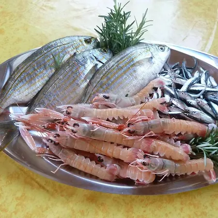 提米别墅酒店 *